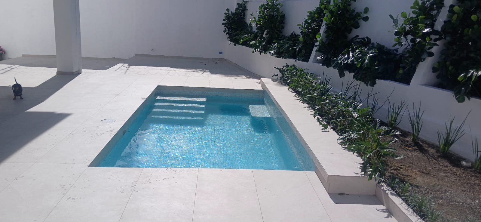 Pool with Roman entry steps and concrete surround